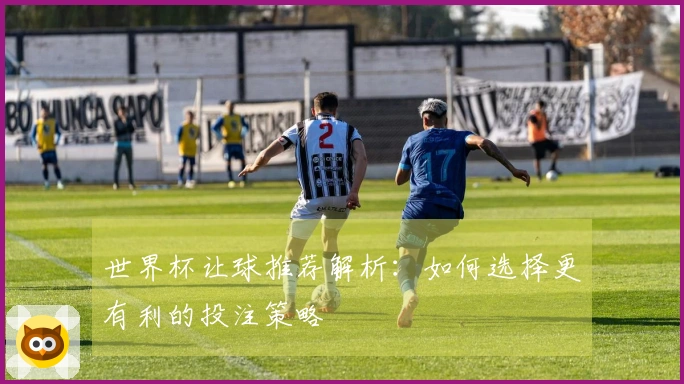 世界杯让球推荐解析：如何选择更有利的投注策略