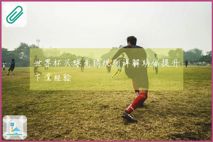 世界杯买球竞猜规则详解助你提升下注经验