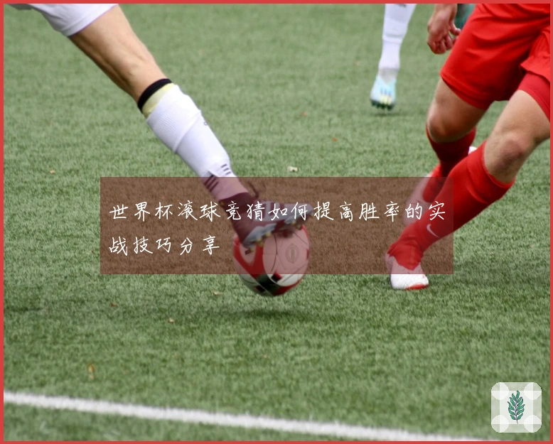 世界杯滚球竞猜如何提高胜率的实战技巧分享