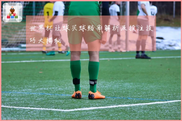 世界杯让球买球赔率解析及投注技巧大揭秘