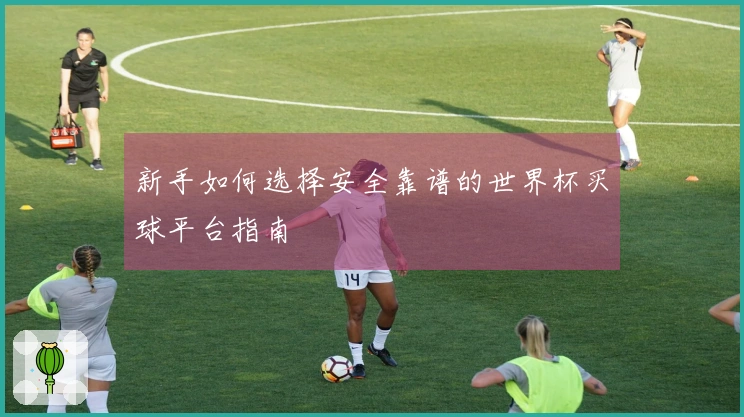 新手如何选择安全靠谱的世界杯买球平台指南
