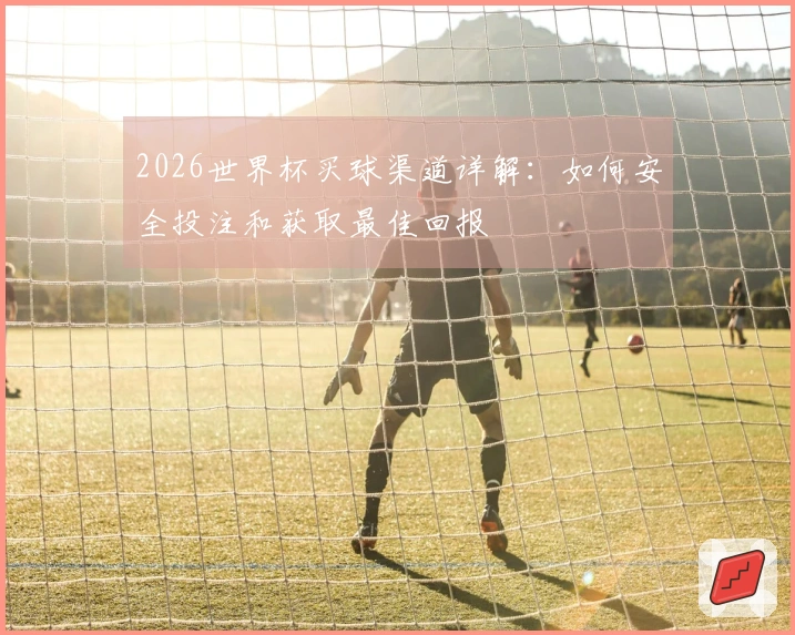 2026世界杯买球渠道详解：如何安全投注和获取最佳回报