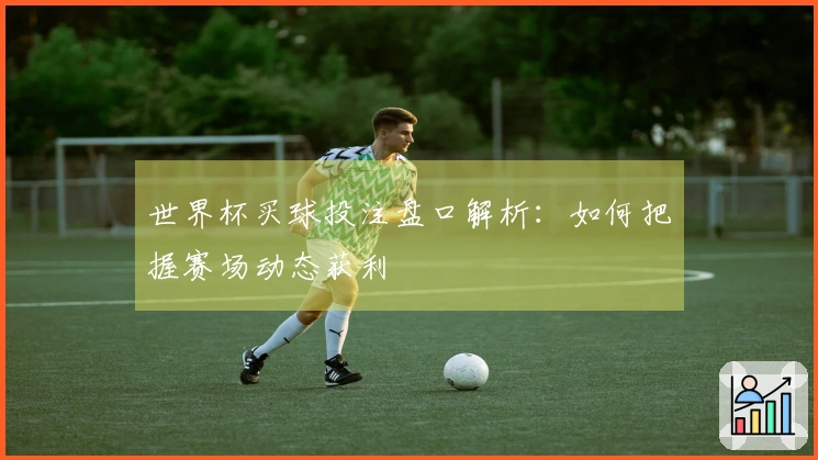 世界杯买球投注盘口解析：如何把握赛场动态获利